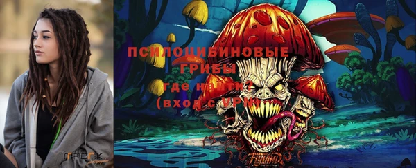 спиды Алзамай